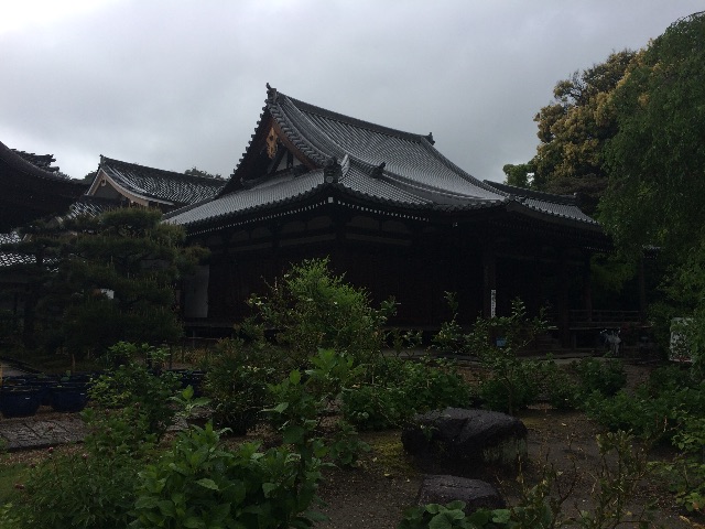 f:id:kamibutsuyoku:20150520210029j:image f:id:kamibutsuyoku:20150520210029j:image