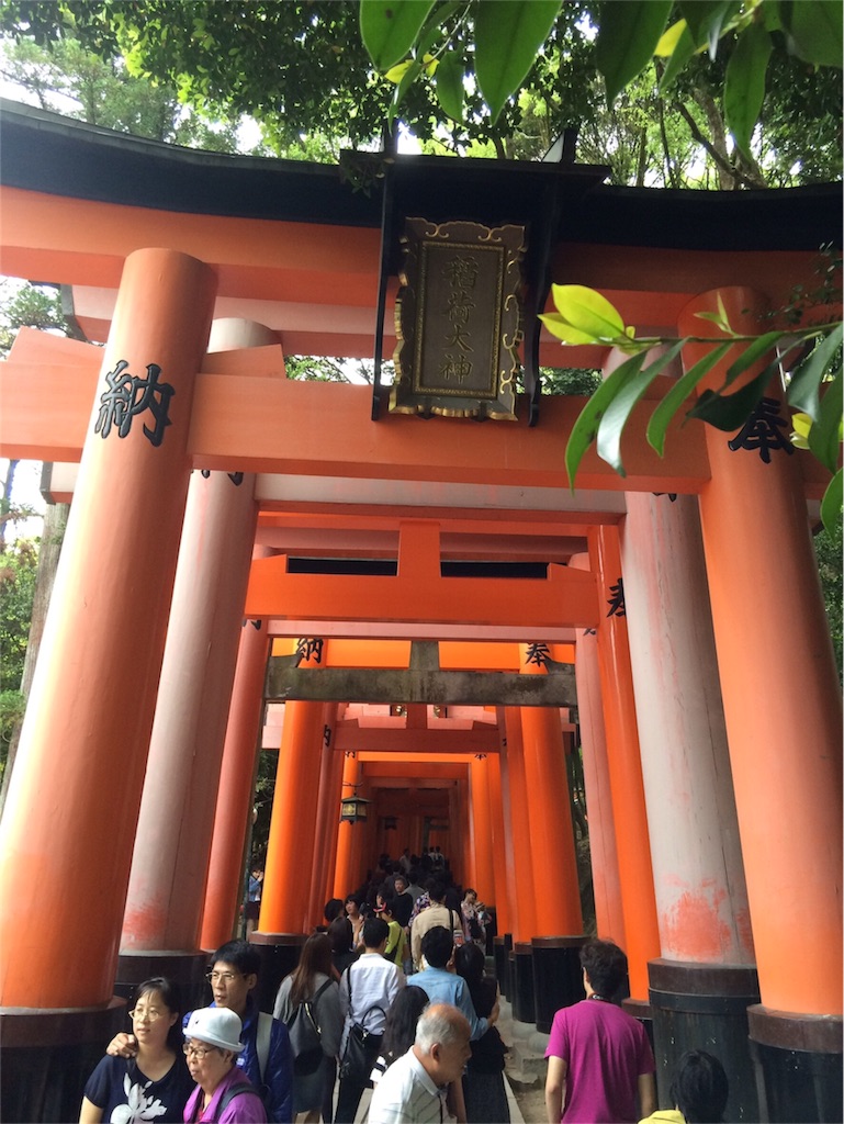f:id:kamibutsuyoku:20160506144335j:image f:id:kamibutsuyoku:20160506144335j:image