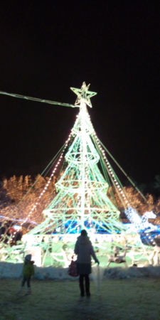 f:id:kamisa:20101231215620j:image f:id:kamisa:20101231215620j:image