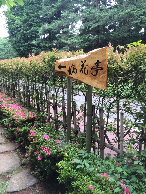 f:id:kamkamkamyu:20150611002606j:image f:id:kamkamkamyu:20150611002606j:image