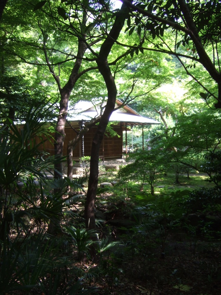 f:id:kamkamkamyu:20150725153251j:image f:id:kamkamkamyu:20150725153251j:image