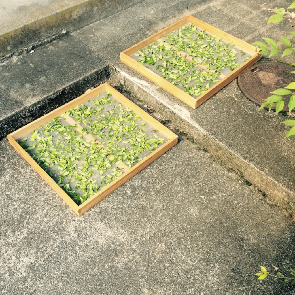 f:id:kamkamkamyu:20151022142306j:image f:id:kamkamkamyu:20151022142306j:image