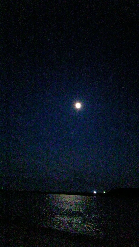 f:id:kamo-kamo-kame:20160524090723j:plain f:id:kamo-kamo-kame:20160524090723j:plain