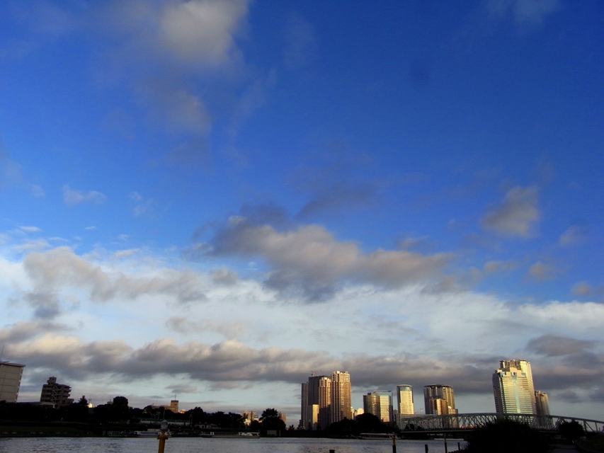 f:id:kamome-tokyo:20090805213050j:image:w500 f:id:kamome-tokyo:20090805213050j:image:w500