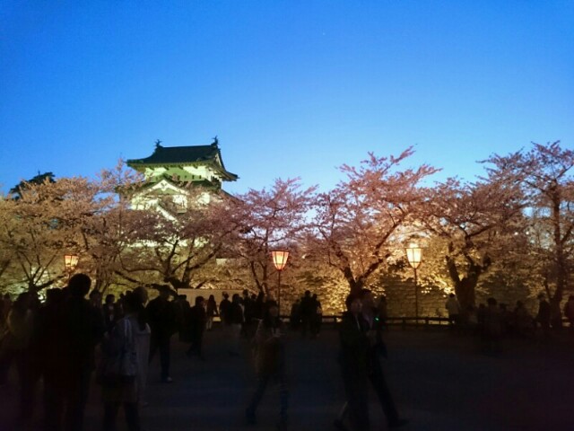 f:id:kamomenosuke:20150425215808j:plain f:id:kamomenosuke:20150425215808j:plain