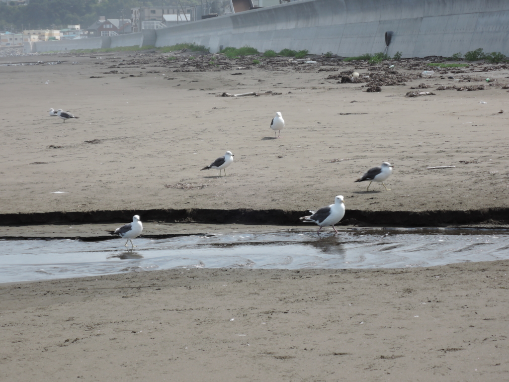 f:id:kan5mag:20150927051141j:plain f:id:kan5mag:20150927051141j:plain