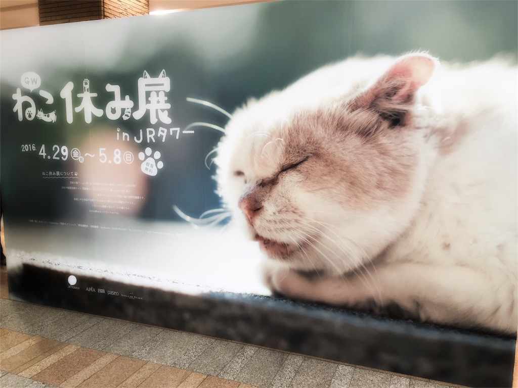 f:id:kanaderiko:20160509224412j:image f:id:kanaderiko:20160509224412j:image