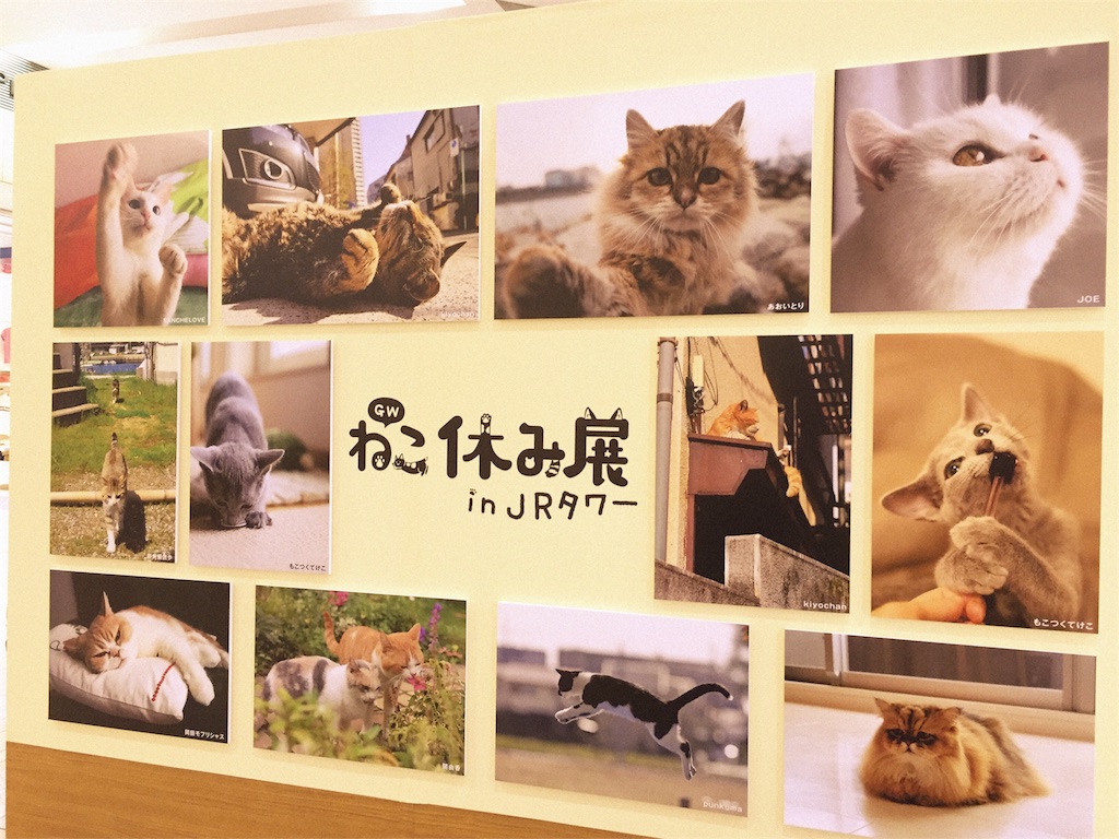f:id:kanaderiko:20160509224450j:image f:id:kanaderiko:20160509224450j:image