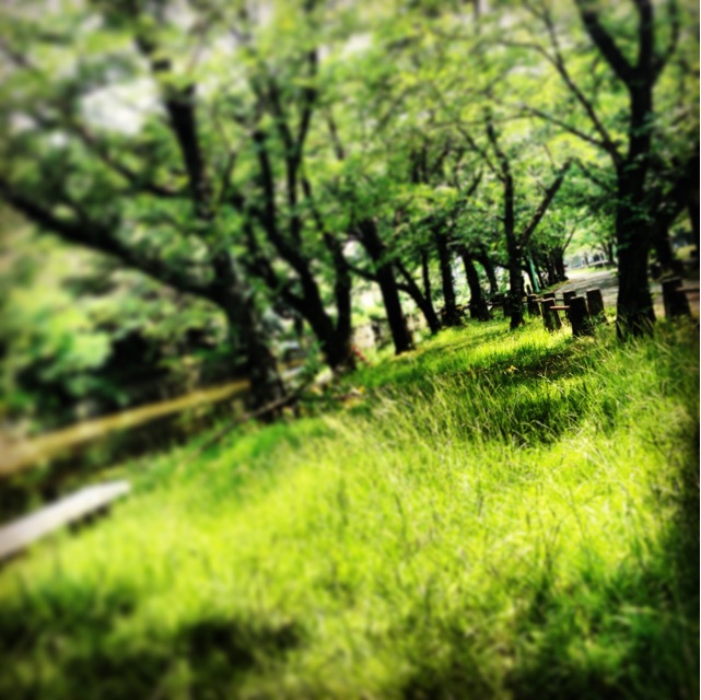 f:id:kanae1211:20150321221313j:plain f:id:kanae1211:20150321221313j:plain