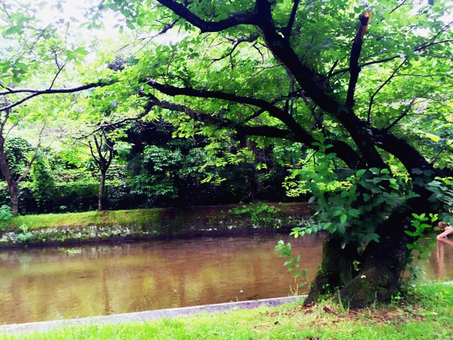 f:id:kanae1211:20150619235442j:plain f:id:kanae1211:20150619235442j:plain