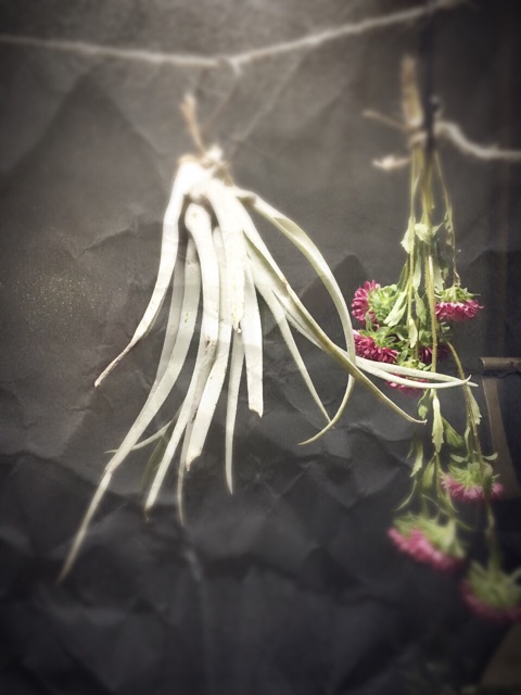 f:id:kanae1211:20150710025803j:plain f:id:kanae1211:20150710025803j:plain