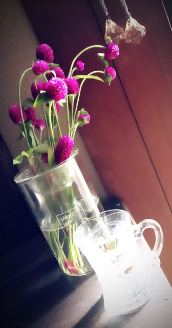 f:id:kanae1211:20150809225626j:plain f:id:kanae1211:20150809225626j:plain
