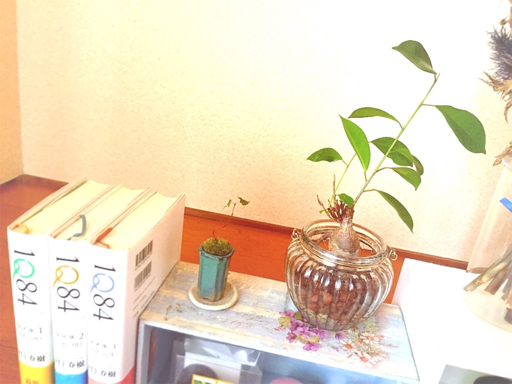 f:id:kanae1211:20160226230737j:image f:id:kanae1211:20160226230737j:image