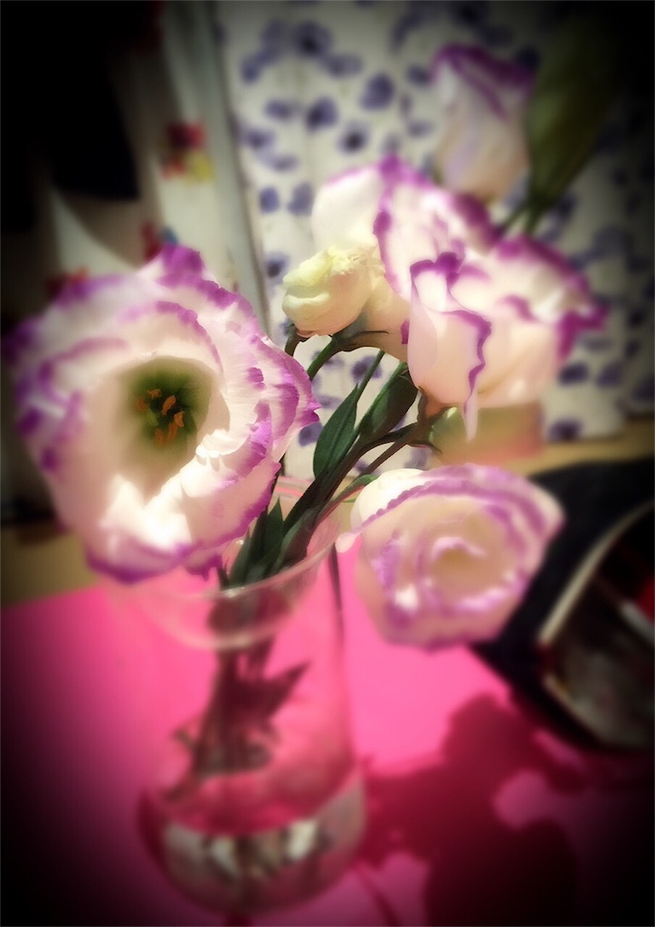 f:id:kanae1211:20160315193215j:image f:id:kanae1211:20160315193215j:image