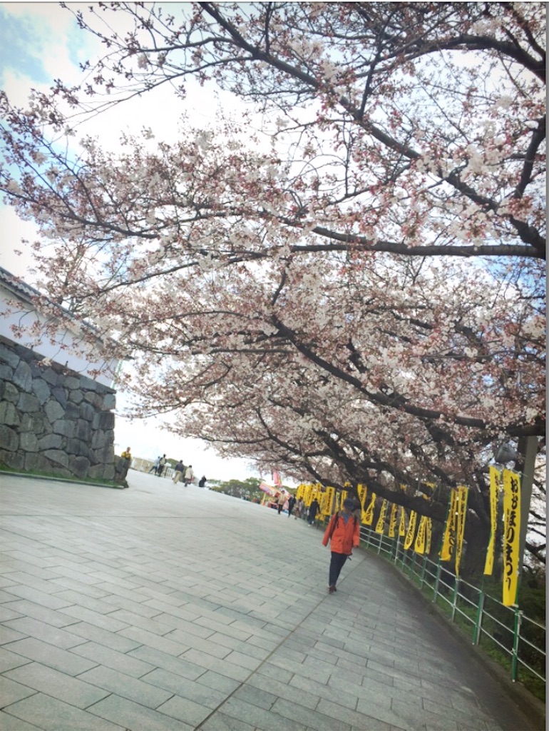 f:id:kanae1211:20160327131546j:image f:id:kanae1211:20160327131546j:image