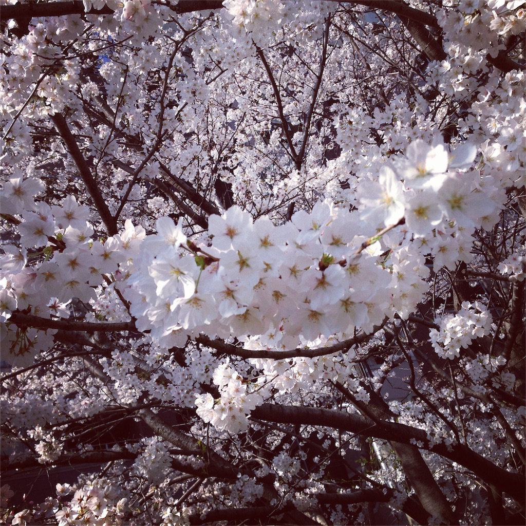 f:id:kanae1211:20160403154635j:image f:id:kanae1211:20160403154635j:image