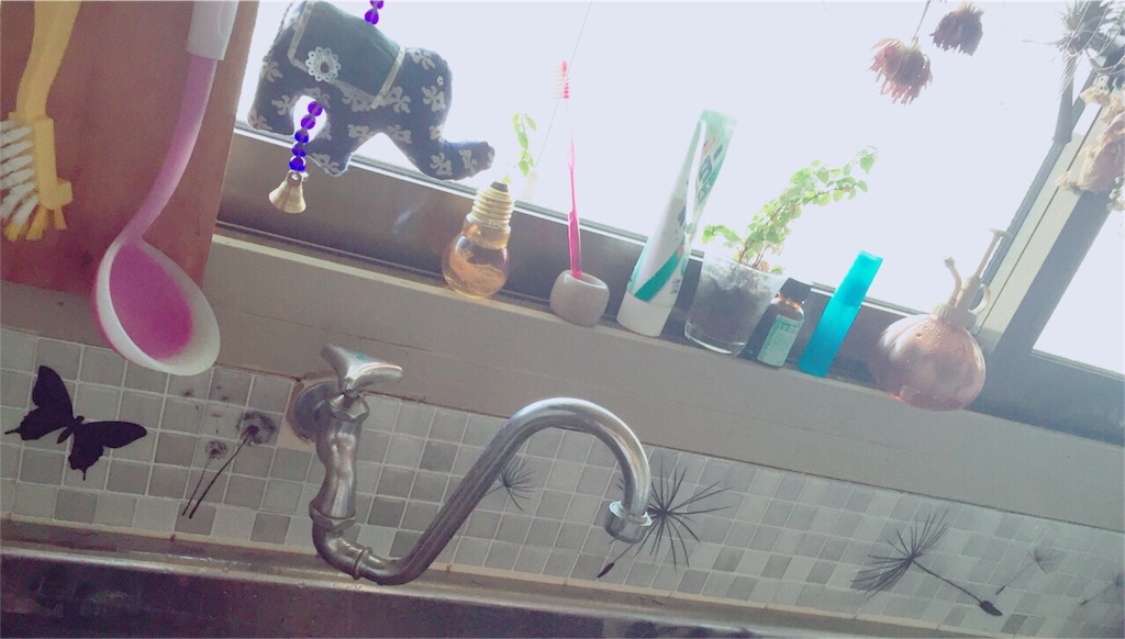 f:id:kanae1211:20160626161812j:image f:id:kanae1211:20160626161812j:image
