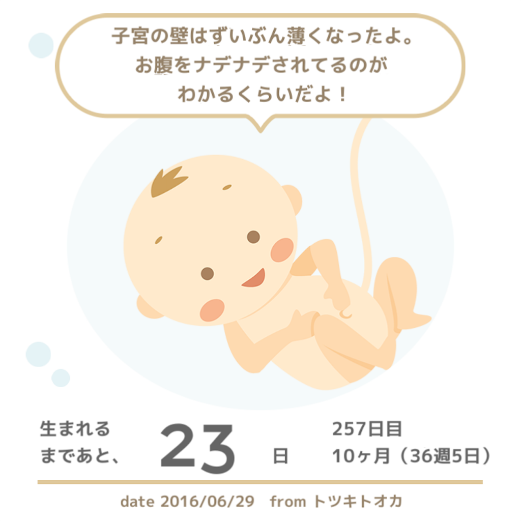 f:id:kanae_kobayashi:20160629201540p:image f:id:kanae_kobayashi:20160629201540p:image