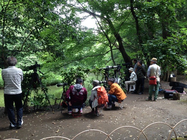 f:id:kanakana_zemi:20150607135714j:image f:id:kanakana_zemi:20150607135714j:image