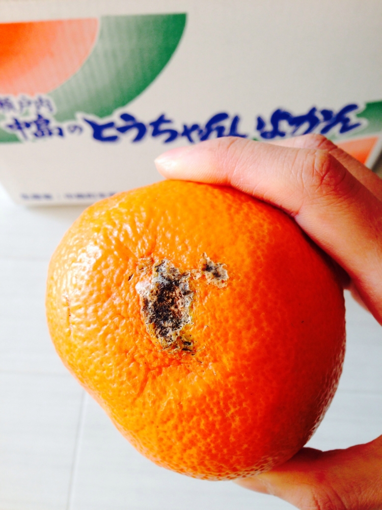 f:id:kanaooo:20150306171420j:plain f:id:kanaooo:20150306171420j:plain