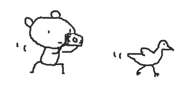 f:id:kanarihikokuma:20130922124926p:image:w230