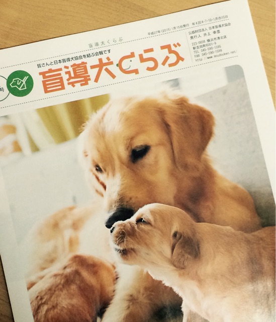 f:id:kanikosen:20150202225130j:plain f:id:kanikosen:20150202225130j:plain