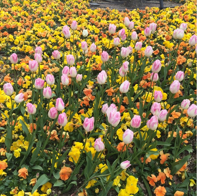 f:id:kanikosen:20150314200358j:plain f:id:kanikosen:20150314200358j:plain