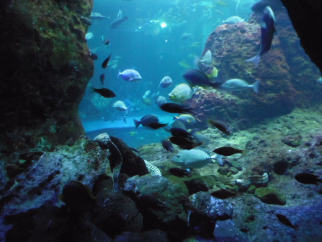 f:id:kannana:20130531144432j:plain f:id:kannana:20130531144432j:plain