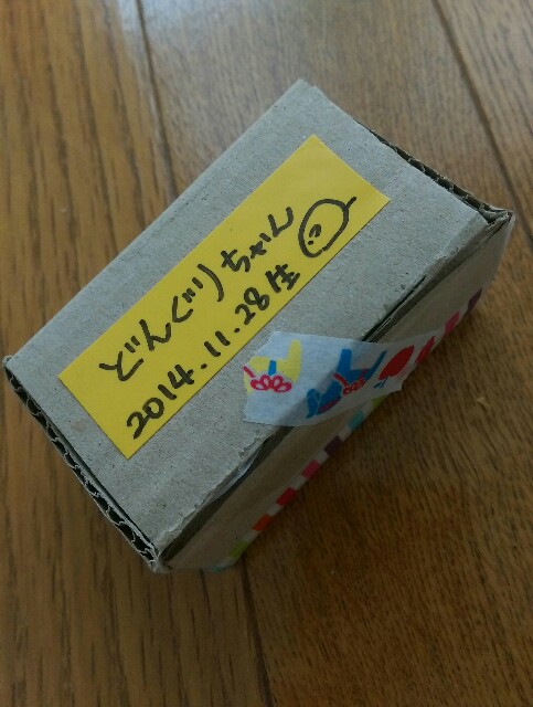 f:id:kanpachikobou:20151123121535j:image f:id:kanpachikobou:20151123121535j:image