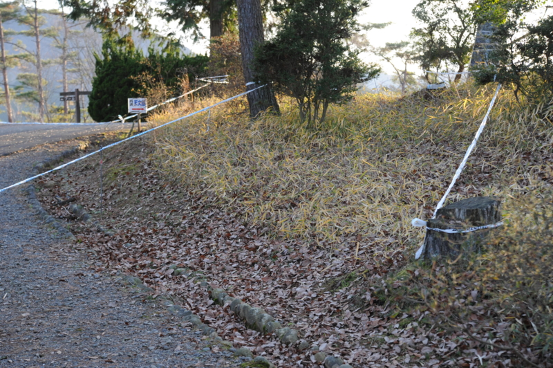 f:id:kansai_cyclocross:20101225155211j:image