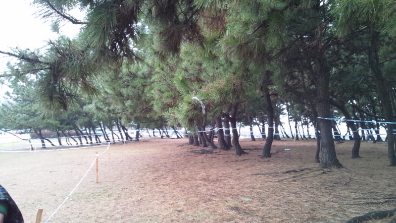 f:id:kansai_cyclocross:20120121163001j:image