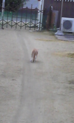 f:id:kansam:20150131091348j:plain