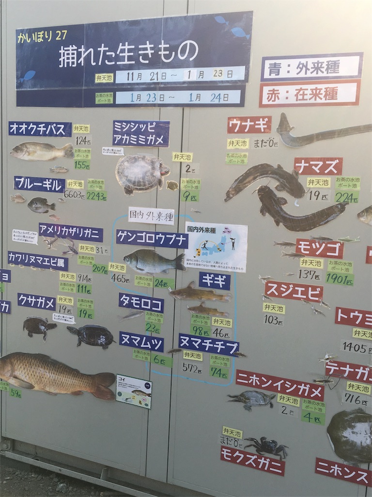 f:id:kanseinokaikaku1002:20160228201002j:image f:id:kanseinokaikaku1002:20160228201002j:image