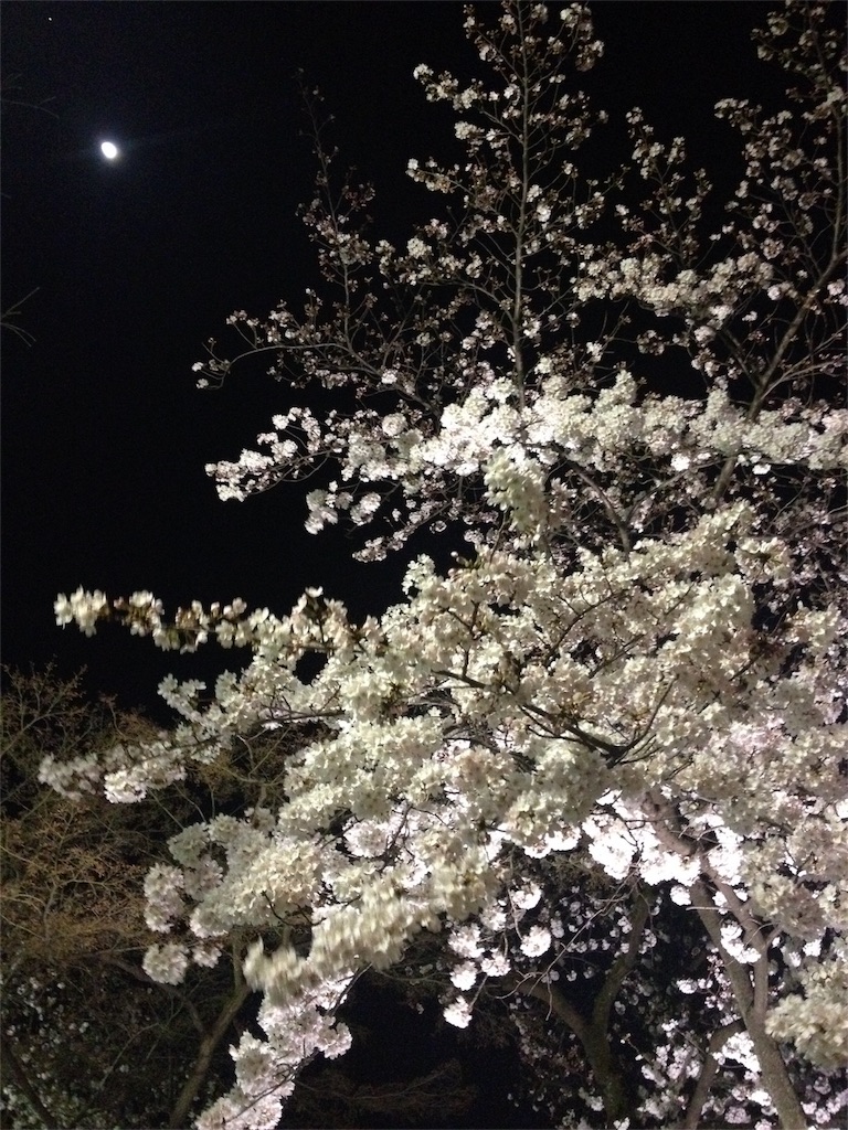 f:id:kanseinokaikaku1002:20160407214010j:image f:id:kanseinokaikaku1002:20160407214010j:image