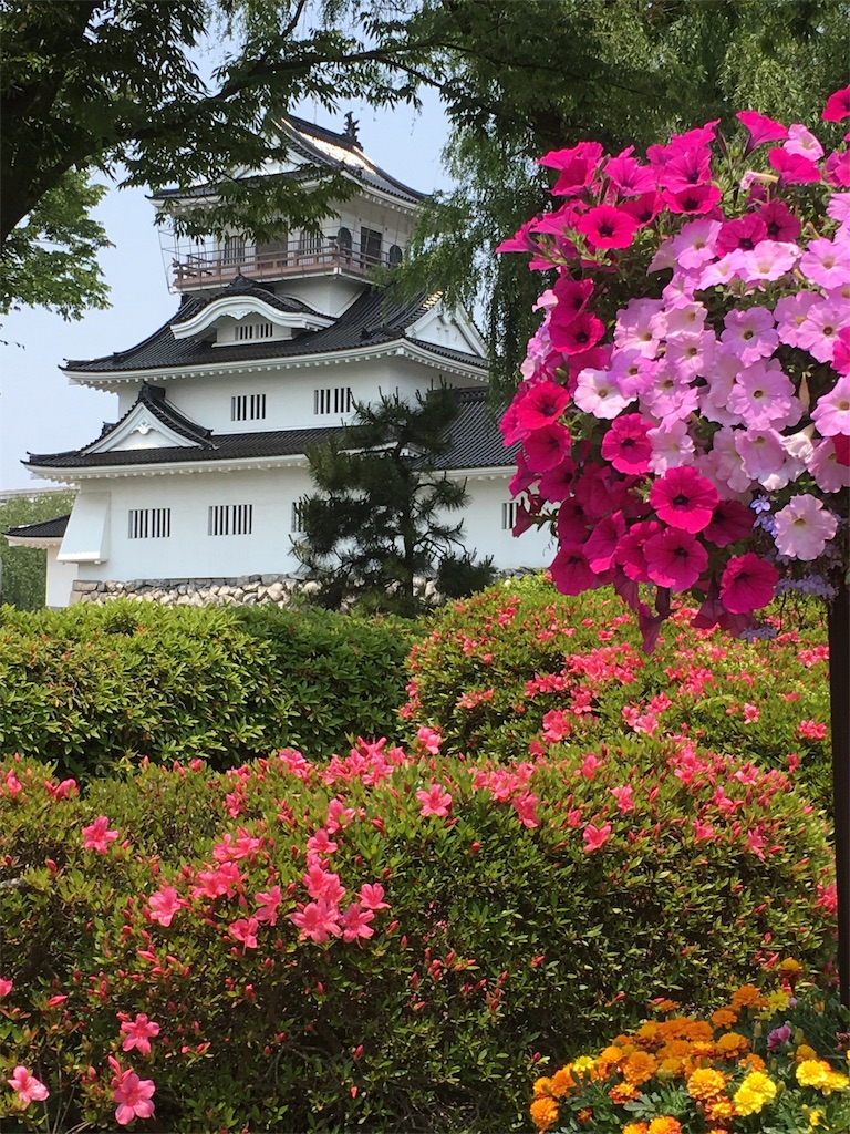 f:id:kansui201604:20160524021109j:image f:id:kansui201604:20160524021109j:image