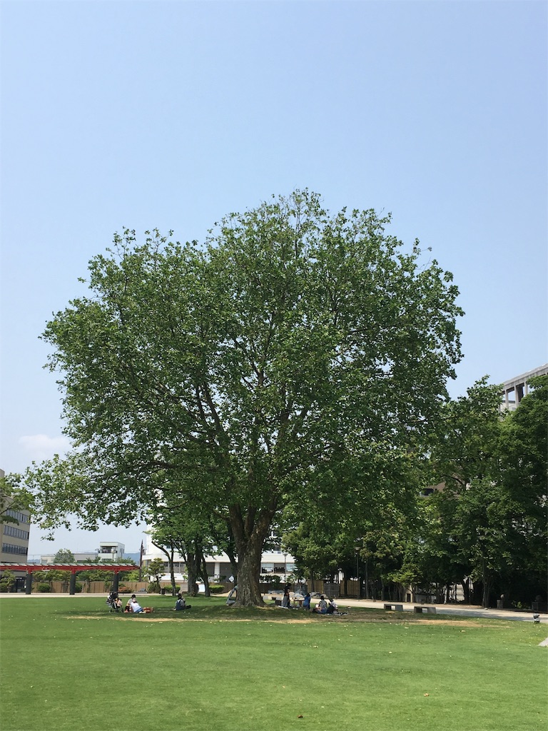 f:id:kansui201604:20160524021339j:image f:id:kansui201604:20160524021339j:image
