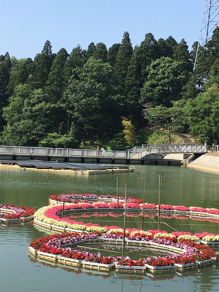 f:id:kansui201604:20160526031251j:image f:id:kansui201604:20160526031251j:image