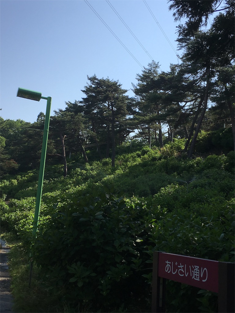 f:id:kansui201604:20160526032702j:image f:id:kansui201604:20160526032702j:image
