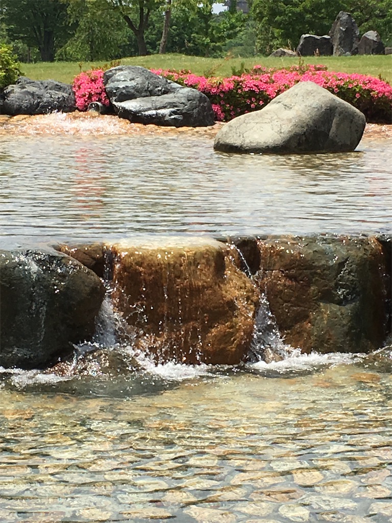 f:id:kansui201604:20160529215903j:image f:id:kansui201604:20160529215903j:image