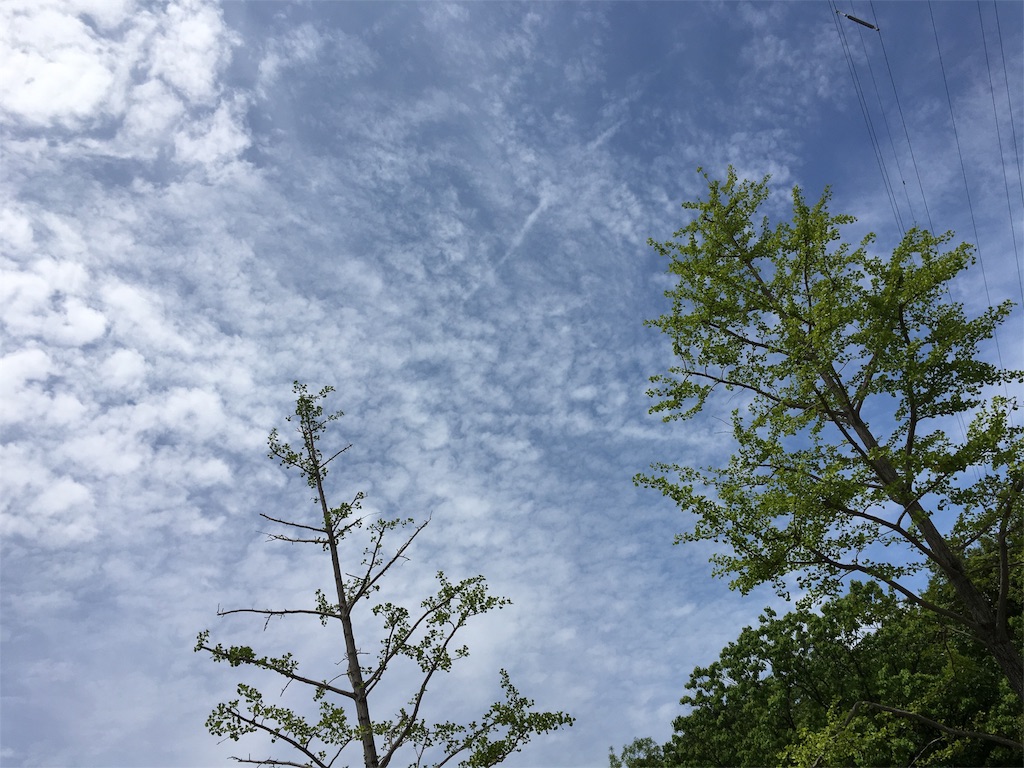 f:id:kansui201604:20160529220019j:image f:id:kansui201604:20160529220019j:image