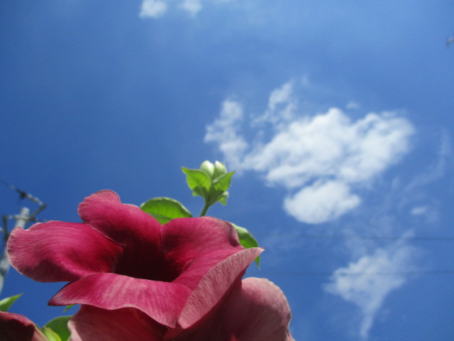 f:id:kansya22:20151012124333j:plain