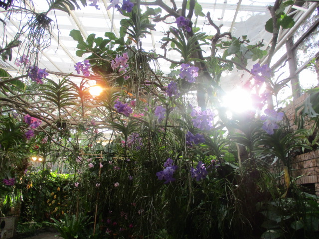 f:id:kansya22:20151230152917j:plain f:id:kansya22:20151230152917j:plain