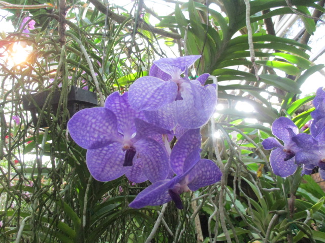 f:id:kansya22:20151230152932j:plain f:id:kansya22:20151230152932j:plain