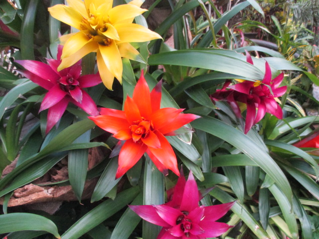 f:id:kansya22:20151230152955j:plain f:id:kansya22:20151230152955j:plain