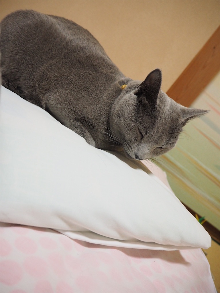 f:id:kantaro5656:20151231185706j:image f:id:kantaro5656:20151231185706j:image