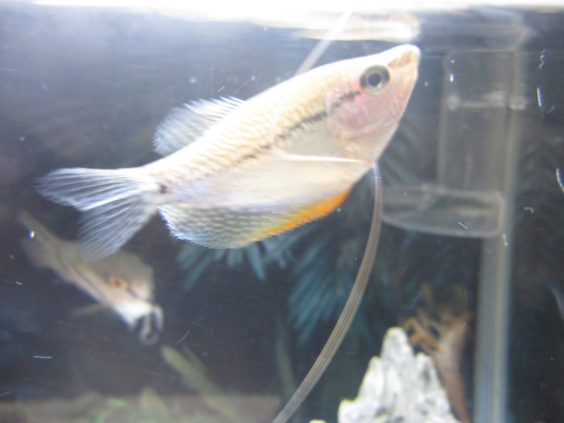 f:id:kantoly:20111129220209j:image f:id:kantoly:20111129220209j:image