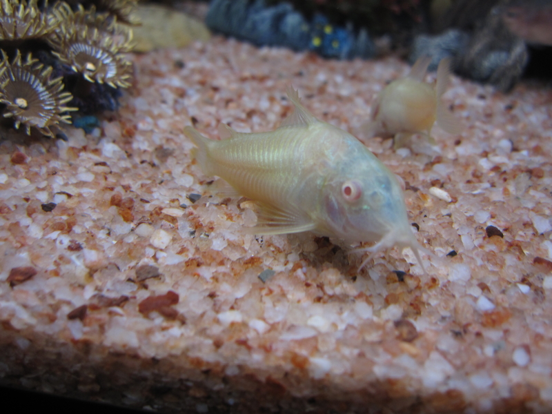 f:id:kantoly:20111129220238j:image f:id:kantoly:20111129220238j:image