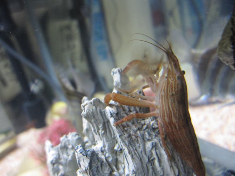 f:id:kantoly:20111129220346j:image f:id:kantoly:20111129220346j:image