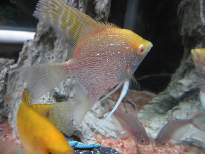 f:id:kantoly:20111129220410j:image f:id:kantoly:20111129220410j:image