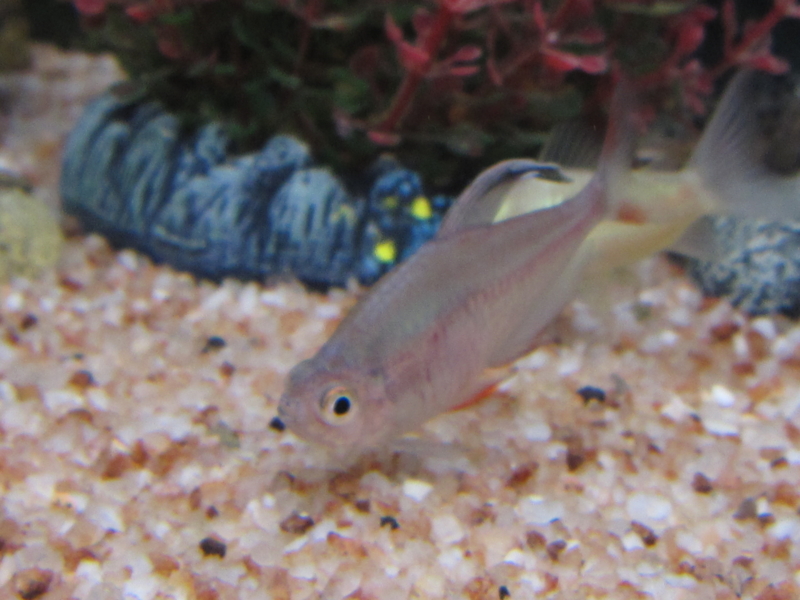 f:id:kantoly:20111129220453j:image f:id:kantoly:20111129220453j:image